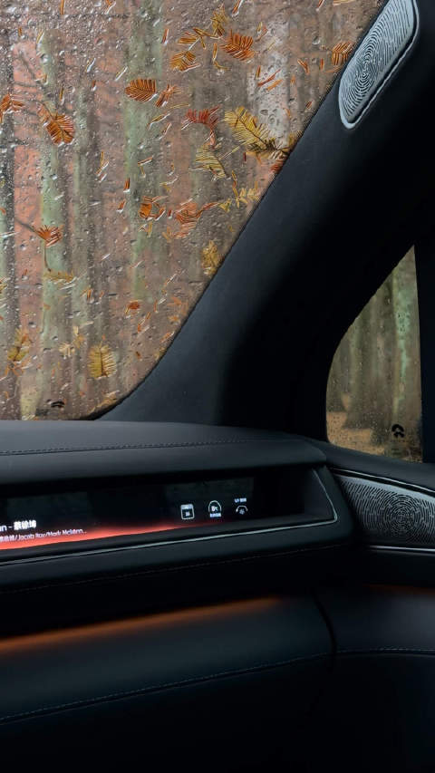 你过来，是谁说ES8音响不行？来看看什么叫九霄天琴