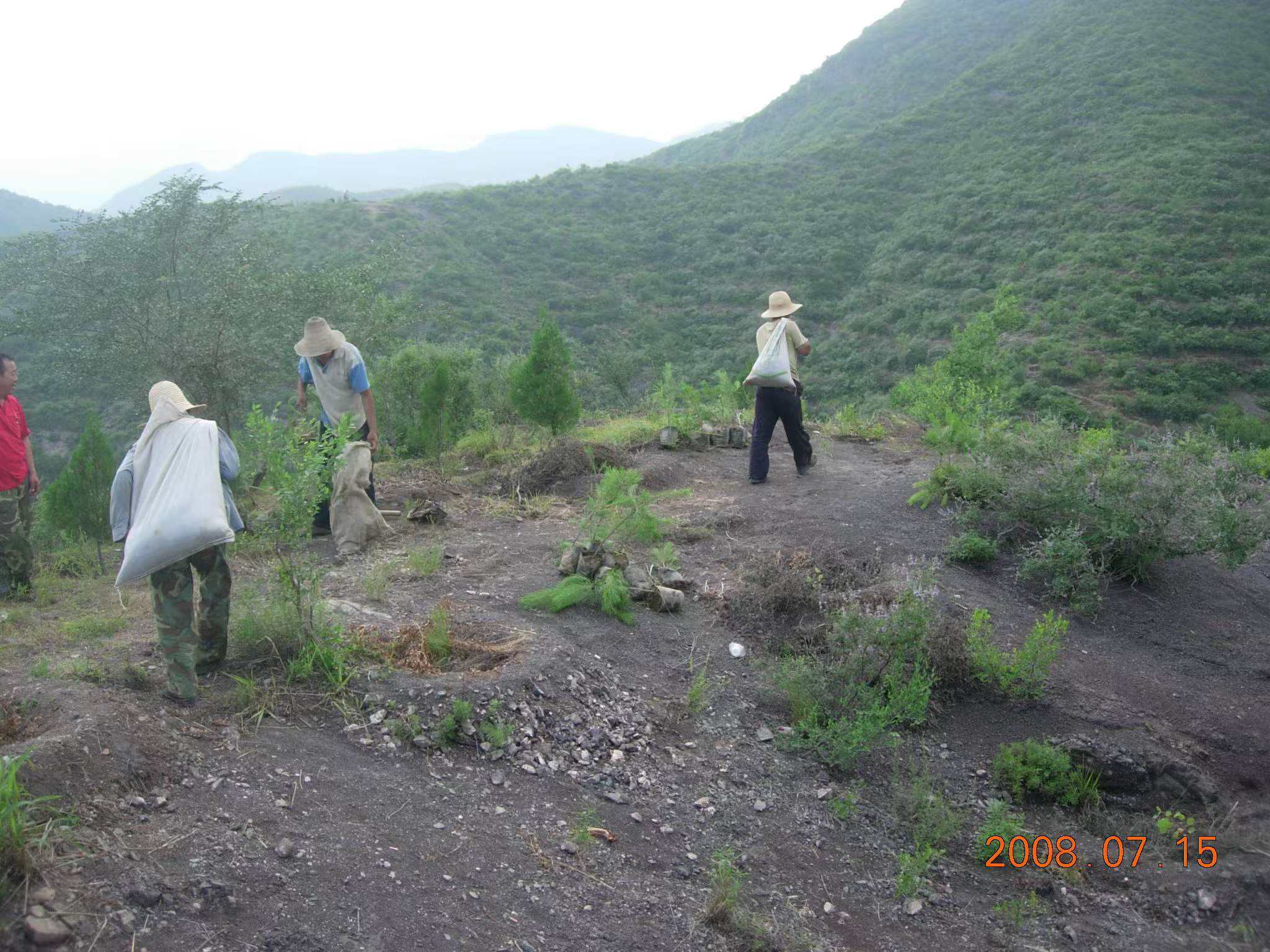 2008年，延慶區的山地造林現場。受訪者供圖