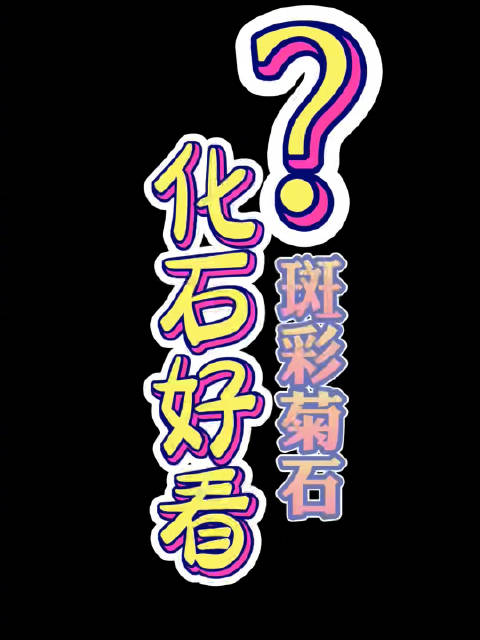 马达加斯加斑彩菊石化石亮相，直径10厘米重274克