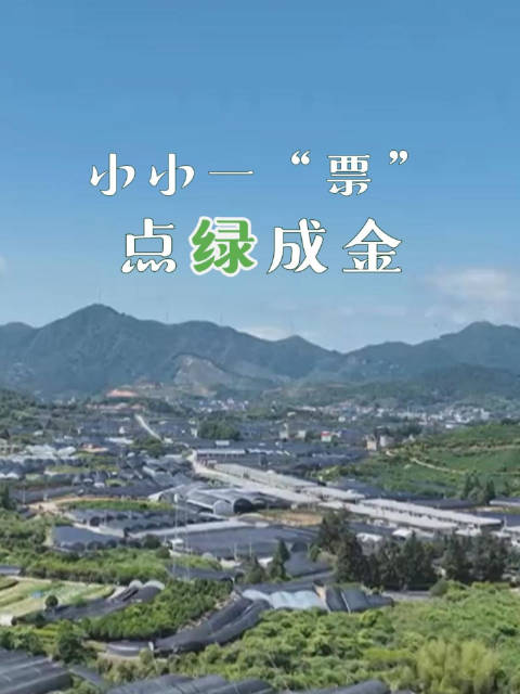 《闽台“乡”约 筑梦山海》｜小小一“票” 点绿成金