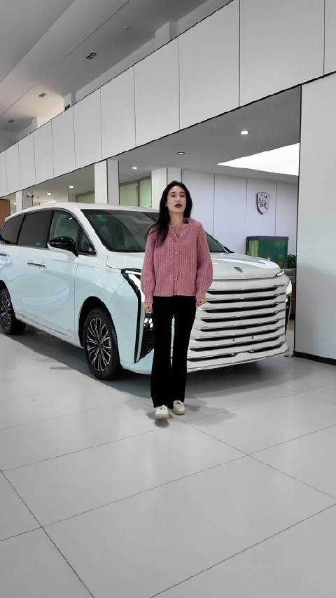 从买到用都省钱，东风风行星海V9！