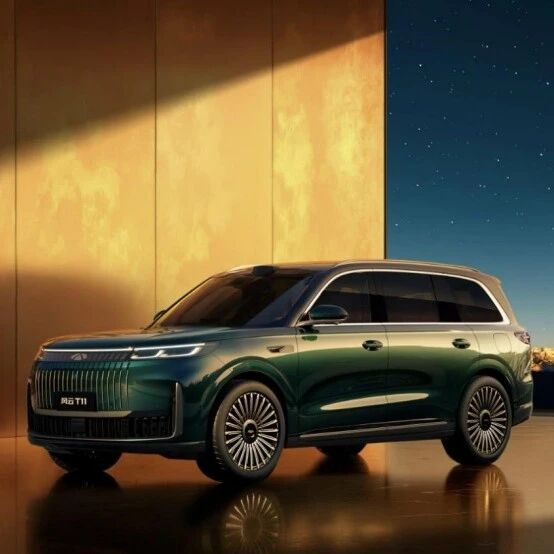 奇瑞：“我们起个大早，赶上了大集。”