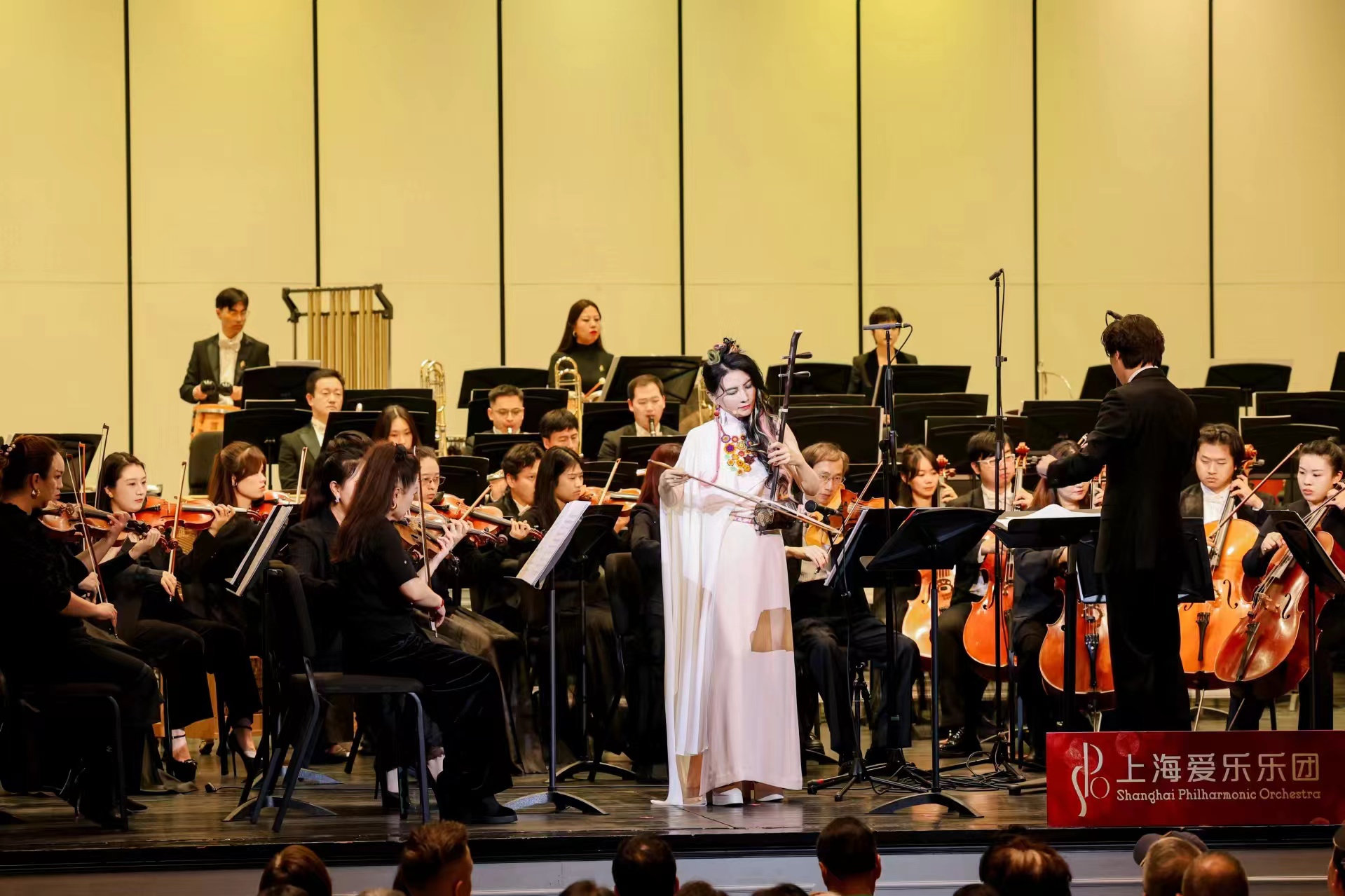 马晓辉奏响二胡交响音乐会《弦咏世界》，重现《卧虎藏龙》的侠骨柔情