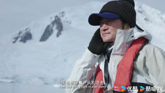 吴京南极跳水初体验，用行动诠释极地敬畏