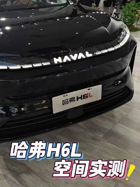 实测哈弗H6L内外空间，孙智戴200斤+，1米78大块头，更有说服力
