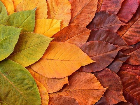 五菱汽车的危与机：印尼公司销量持续下滑，借力华为能否重振业绩