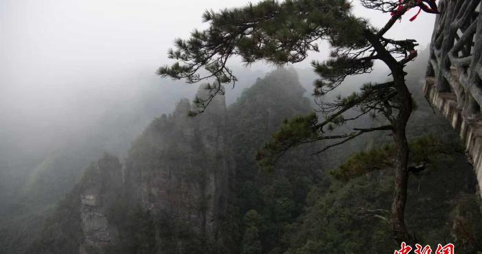 境外媒体走访广西金秀大瑶山 探寻文旅融合新路径