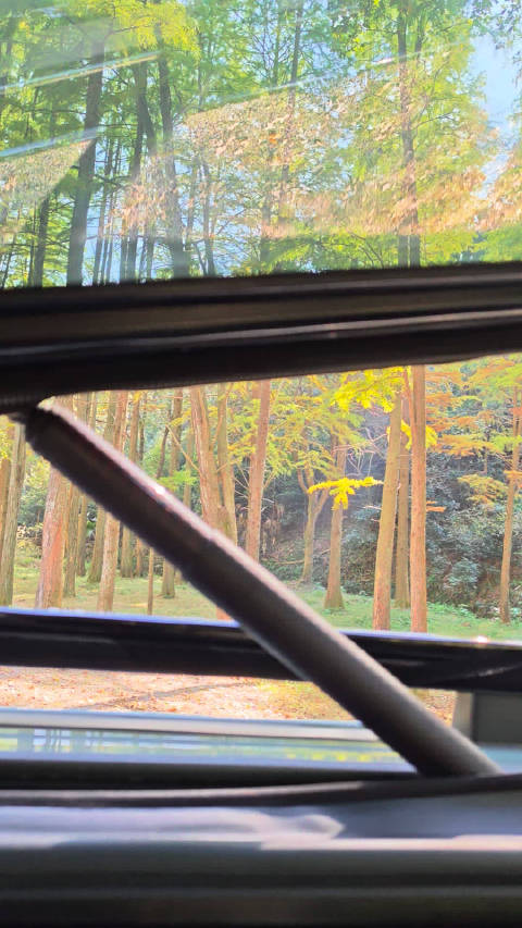 什么叫情绪价值？我觉得这智趣烈马的车顶就是！