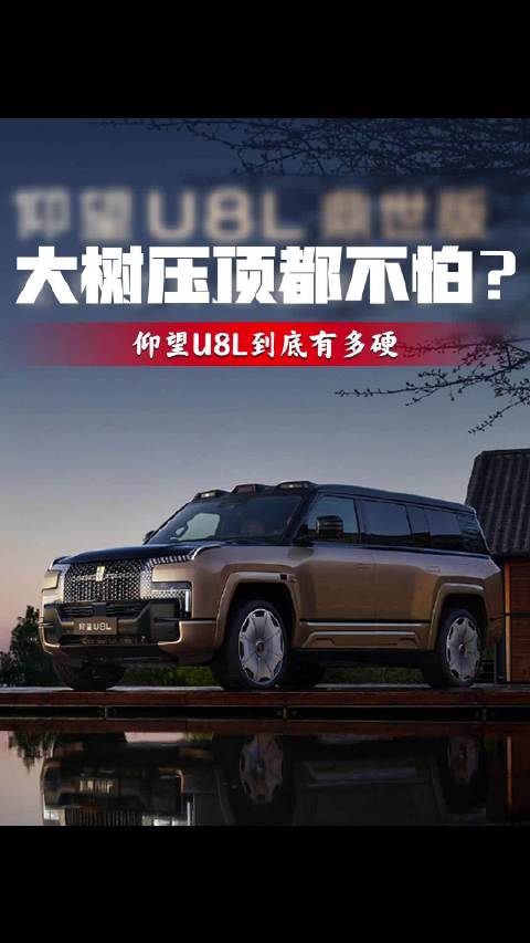 大树压顶都不怕？仰望U8L到底有多硬！