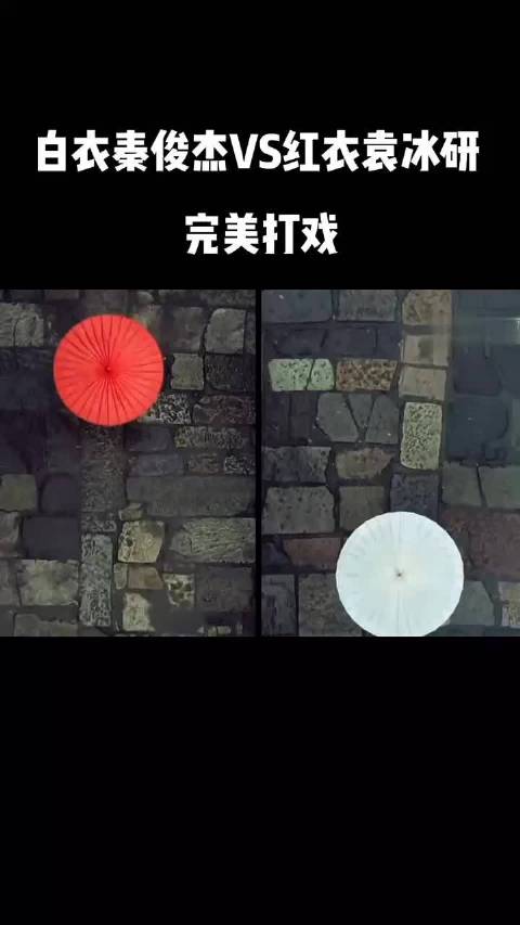 红衣袁冰妍vs白衣秦俊杰 完美打戏