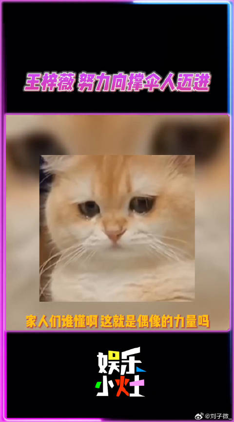 王梓薇赵丽颖同框引热议