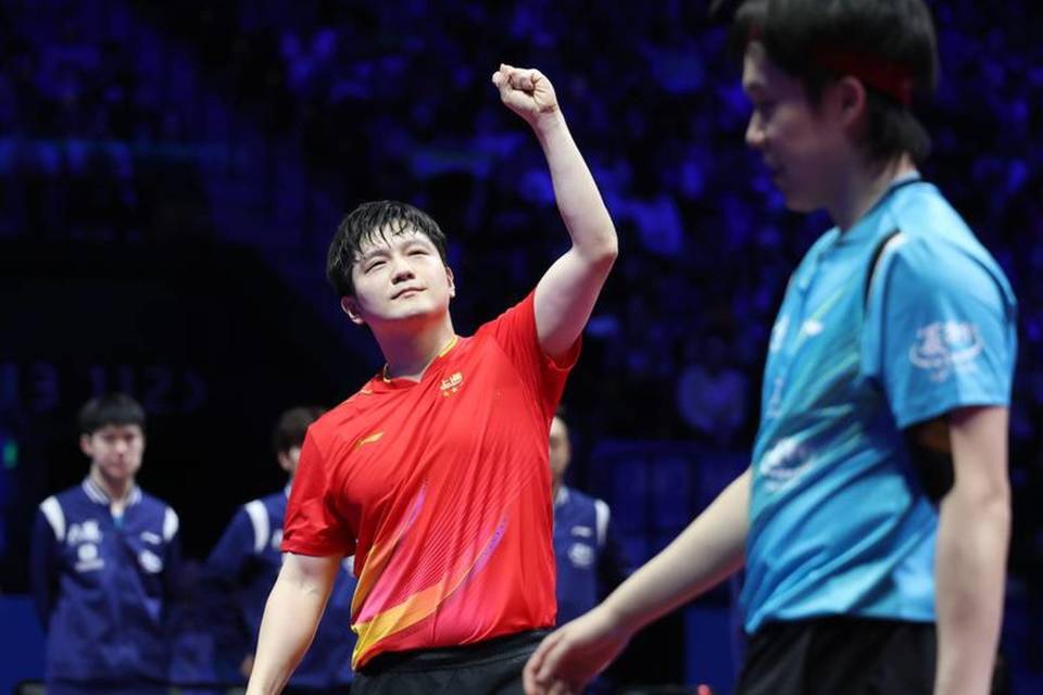 上海男团为何输北京队？邓亚萍给出分析，樊振东独一档，马龙圆满