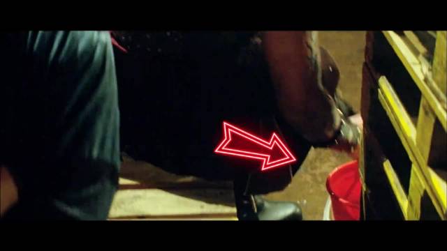 从头打到尾，拳拳到肉