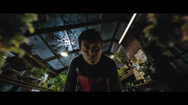 朴赞郁《无可奈何》青龙奖摘冠，视听惊艳叙事存憾