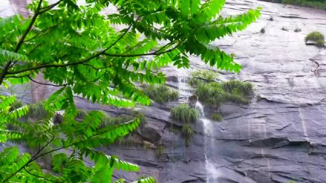 黄山五绝之泉瀑奇观：百丈瀑人字瀑九龙瀑飞泻