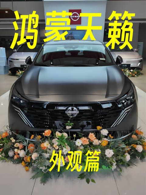 天籁新车发布哑光漆成亮点