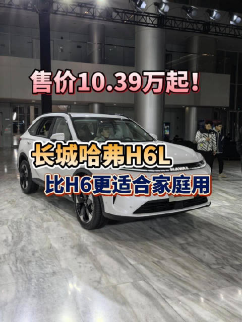 哈弗H6L加长版上市，空间升级后排可调