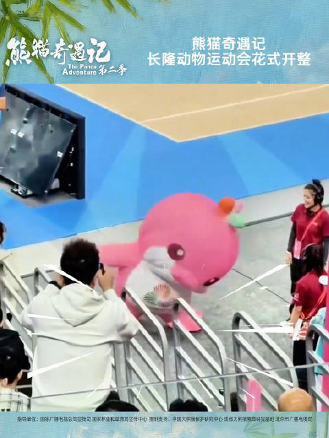 熊猫奇遇记动物运动会花式开整