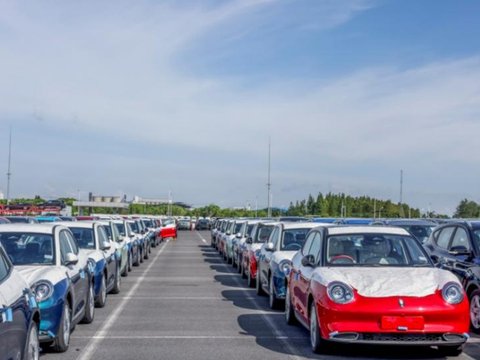 放弃猫系命名，欧拉5能否成为欧拉的救命稻草？