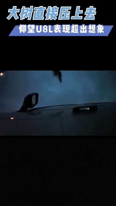 大树直接压上去，仰望U8L表现超出想象！