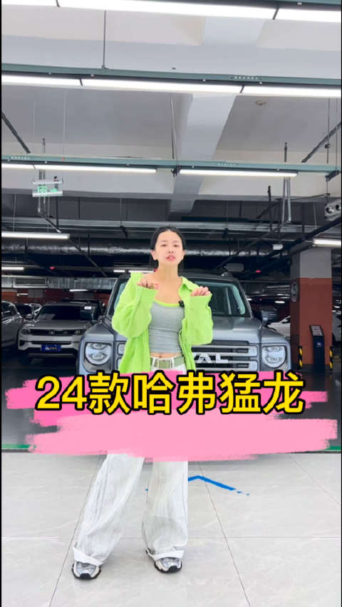 哈弗猛龙方盒造型省油二手车实表1万公里