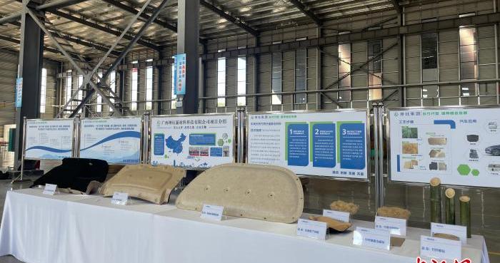 汽车零部件“以竹代塑”全产业链在广西柳州落成