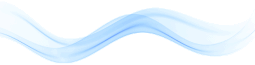 (图片来源:张苏慧/摄)