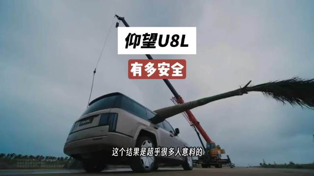 大树压顶？仰望U8L的安全测试有点意外