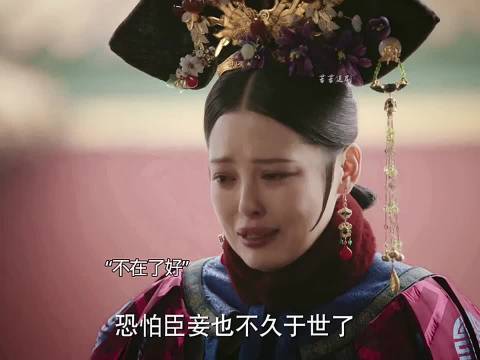 四阿哥出宫嘉贵妃疯病八阿哥坠马