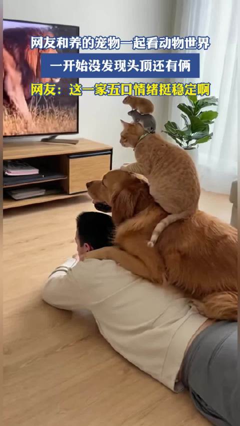 网友与宠物同看动物世界，意外发现头顶还有两只