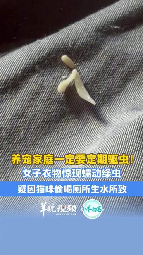 女子衣物惊现蠕动绦虫