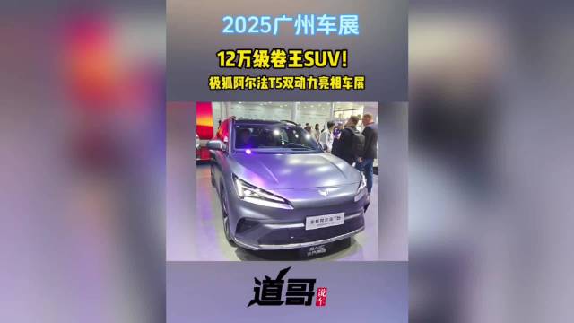 12万级卷王SUV！极狐阿尔法T5双动力亮相车展