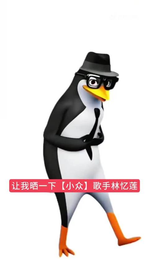 林忆莲用歌声幽默善举温暖世界