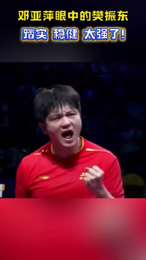 邓亚萍评论樊振东，踏实 稳健 太强了