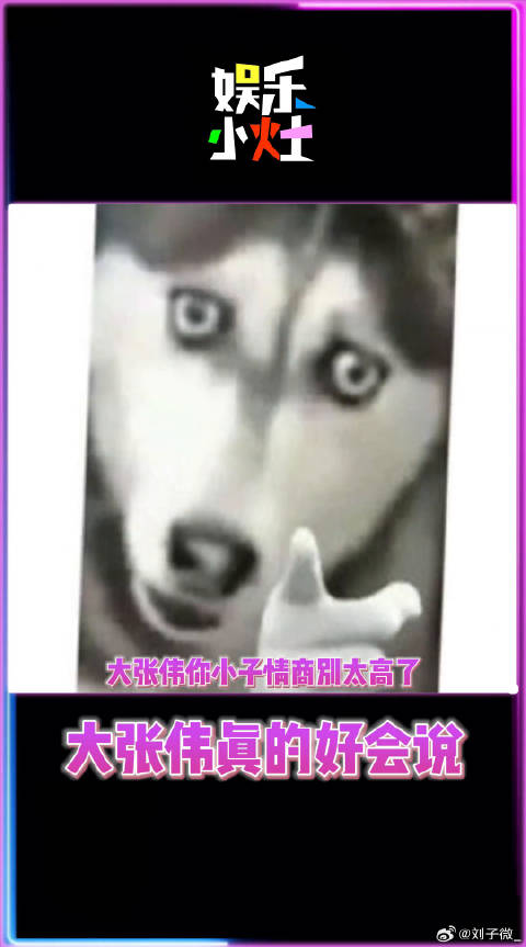 谁都不服，就服大张伟的嘴！大张伟的嘴到底有多少punchline