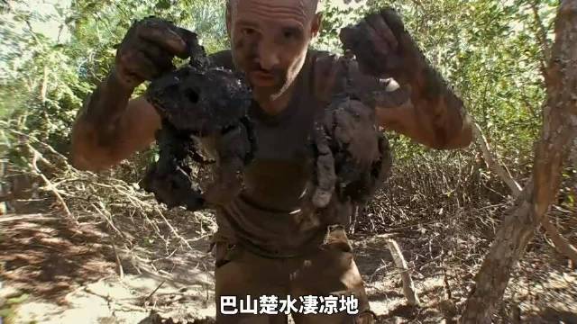 德爷马达加斯加荒野求生，抓辣条掏螃蟹，还有猴面包果