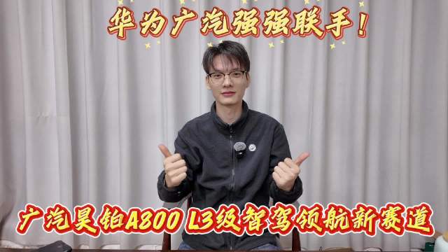 华系双智旗舰轿车昊铂A800大湾区A8