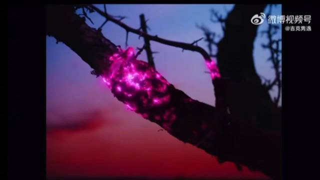 吉克隽逸万物回响mv