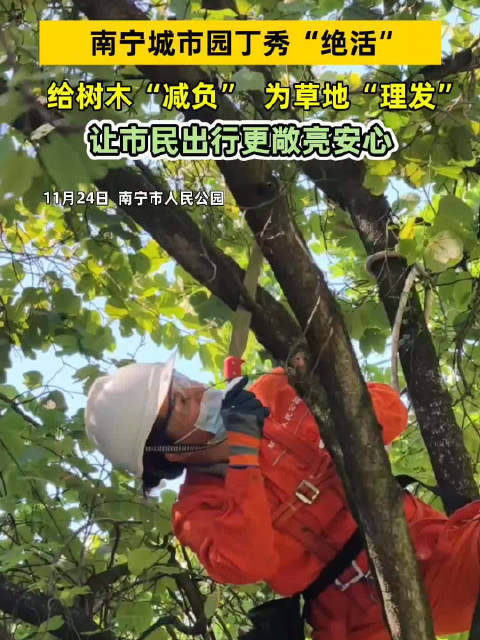 冬天来了城市园丁为树木修剪