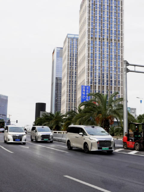 魏牌高山与埃尔法湾区同框，中国家庭豪华时代驶来