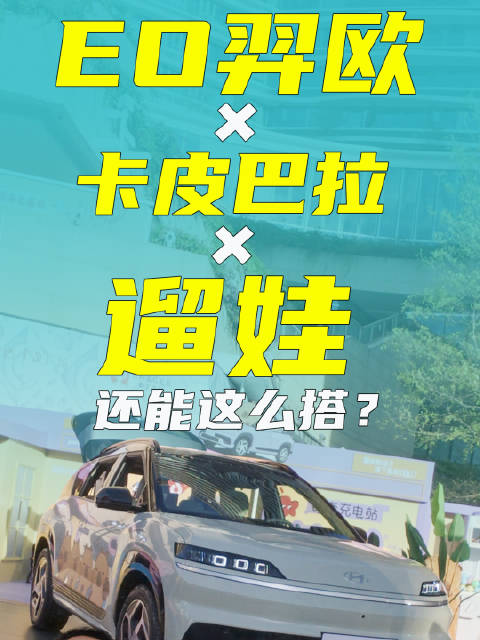 北京现代EO羿欧&卡皮巴拉，竟然这么搭
