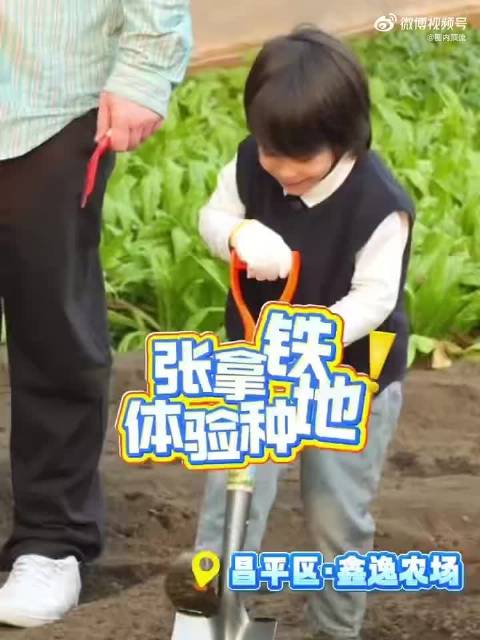 内娱童星张拿铁综艺萌态圈粉，小酒窝朵朵组合引关注