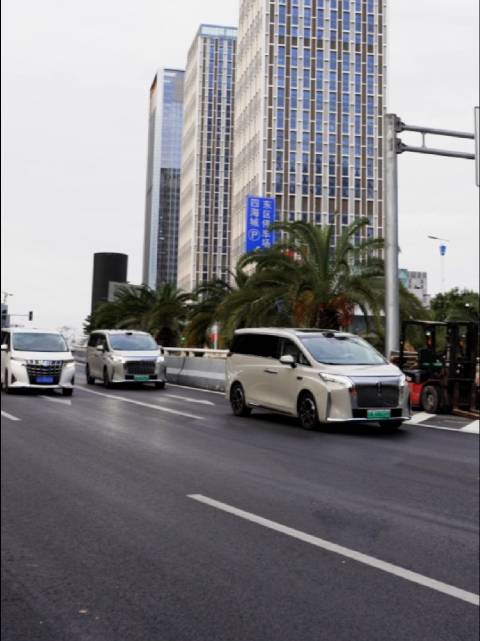 广州车展魏牌高山车队与埃尔法街头相遇，价格仅为三分之一