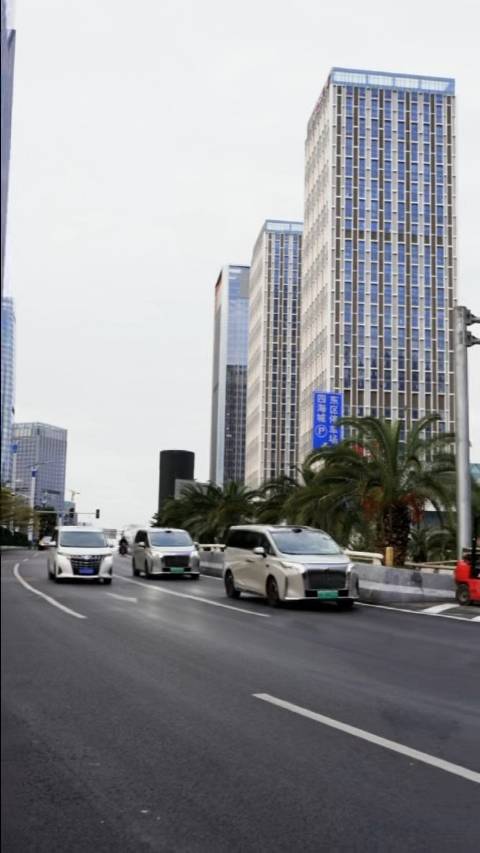 魏牌高山与埃尔法同框大湾区，MPV市场迎来新老交替