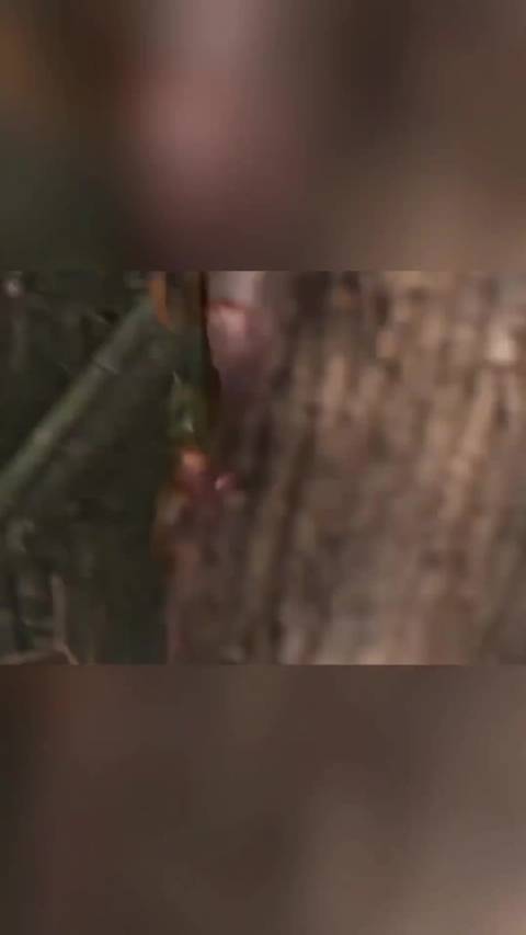 女神柳岩美女驻扎地