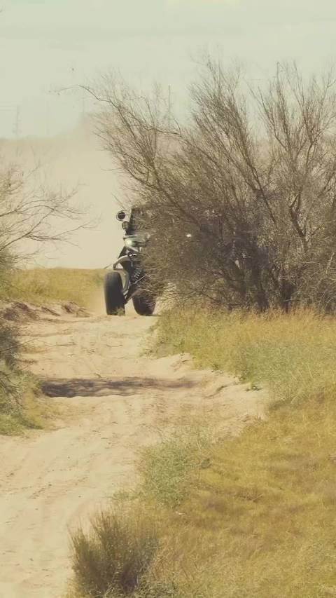 买悬挂送车具象化了