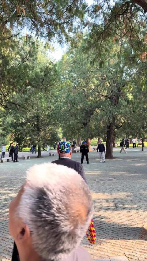 解决了陆地没有海豹的问题