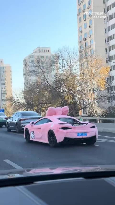 这种洗车得去宠物店洗吧