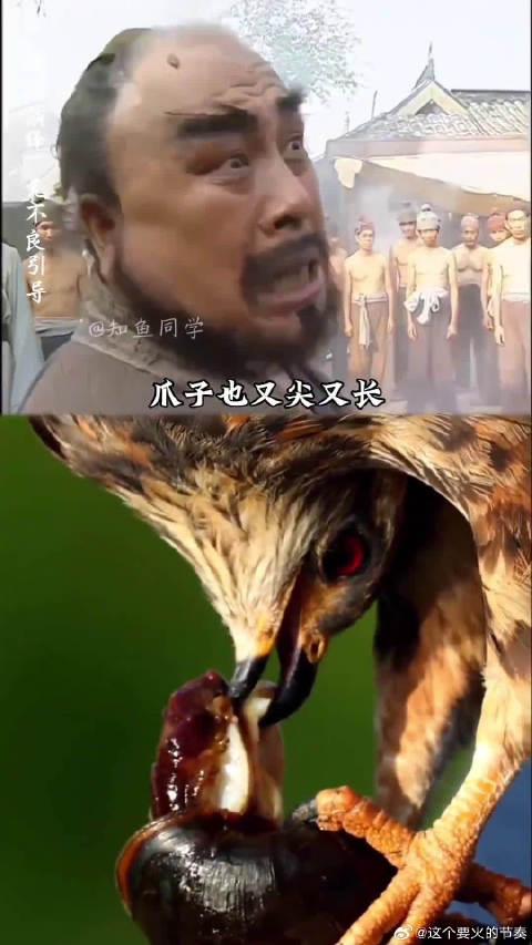 福寿螺那么多寄生虫，野外还会有动物吃它吗？