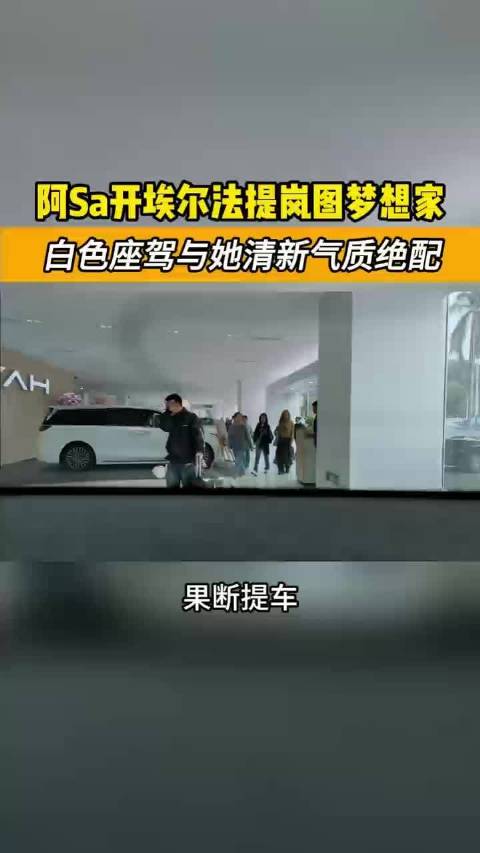阿Sa驾驶埃尔法提岚图梦想家庆生